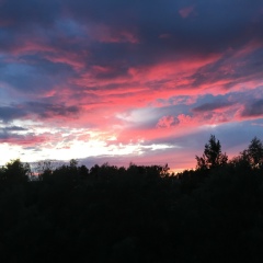 Вадим Мизерий, 22.03.2008, Москва