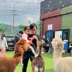 Kostyan Pyagay, Тараз