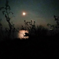 Зинфир Хабибуллин, Мулланурово