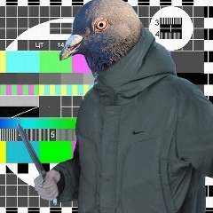 Егор Шульман, 17.07.1999, Москва