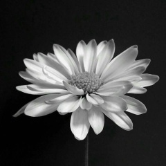 Алия Хаматьянова, 01.08.1984