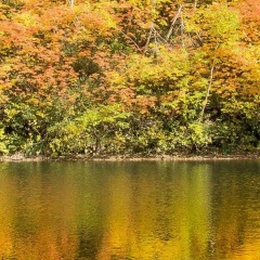 Olia Ledystyle, 09.10, Москва