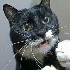 Малай Галеев, 17.05.1920, Москва