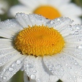 Анна Салиева, 14.11, Одесса