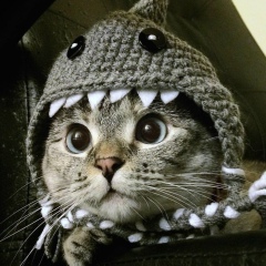 Эдуард Розенблат, Ашкелон