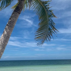 Мадина Арчегова