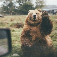 Расим Магомедов, 28.03, Москва