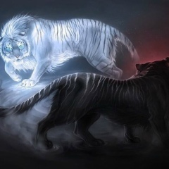 Azizbek Babajanov, 03.11, Москва