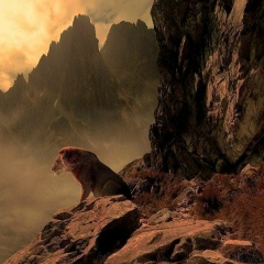 Ахмад Нуров