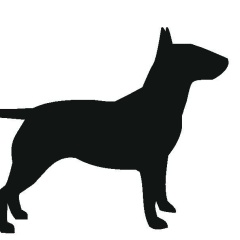 Ярослав Гетманский, 15.11.1986, Ростов-на-Дону