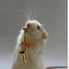 Алексей Волков, 15.09.1985, Москва