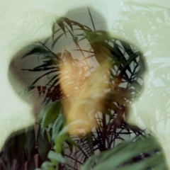 Ольга Бурмистрова, Тольятти