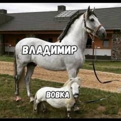 Владимир Бурдули, 06.07.1983