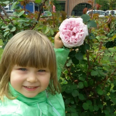 Сергей Льозов, 20.11.1989, Napoli