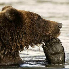 Михаил Антуфьев, 11.10, Санкт-Петербург