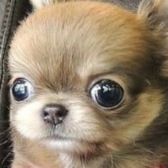 Айрита Белевцова, 17.03