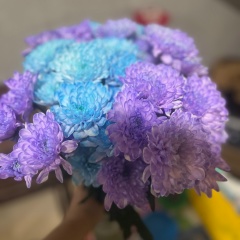 Маргарита Антипова, 04.09, Иркутск