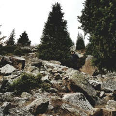 Yan Mayen, Алматы