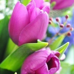 Meruert Shokanova, 09.04.1994, Атырау