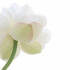 Эльвира Родионова, 10.11, Калининград