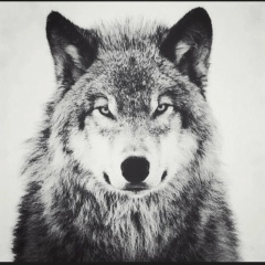 Мерас Абдрахманов, 28.05, Костанай