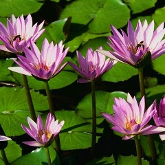 Жанна Ильясова, 01.07.1977, Актау