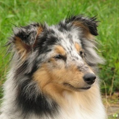 Евгений Пономаренко