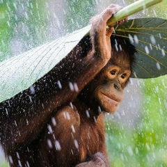 Оля Дресвянина, 26.03, Вологда