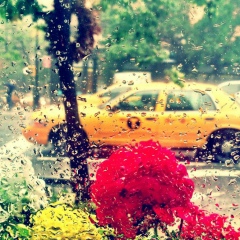 Katerina Lee, New York City