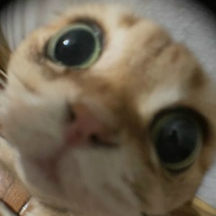 Дмитрий Ширинских, 30.06, Одесса