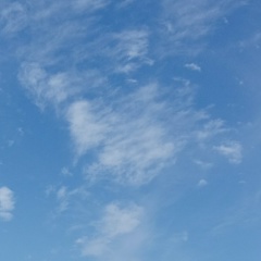 Сауле Мальгаждарова, 16.10, Тюмень