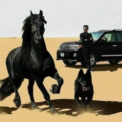 Бизнес С Китаем, 02.03.1995, Guangzhou