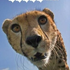 Вовчик Кккккк, 20.04