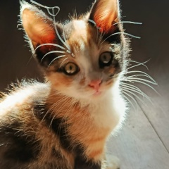 Наташа Смирнова, 26.05, Санкт-Петербург