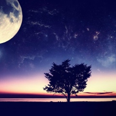 Мариночка Корж, 19.10.1989, Malé