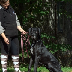 Natalja Pavlova, 17.12.1966, Рига