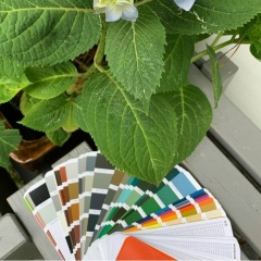 Ирина Соловьёва