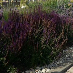 Мария Кулагина, 08.02, Москва