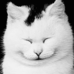 Алексей Сюй, 20.01.1992, Караганда