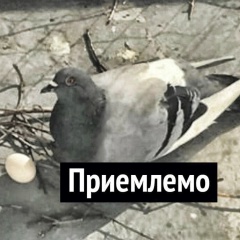 Валерия Бисяева, Челябинск