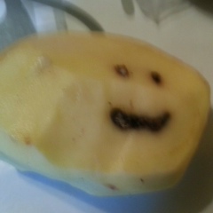 Элдияр Садыков, 16.01.1998, Los Angeles