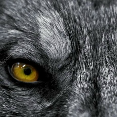 Владимир Антоненко, 09.02.1986, Киев