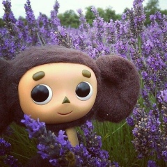 Роман Нечаев, 01.01.1990