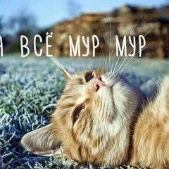 Кирилл Симеренко, 01.02.1995, Йошкар-Ола