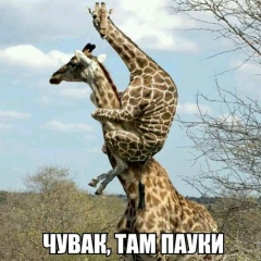 Aidyn Nurmaganbetov, 19.11.1983, Аркалык