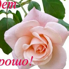 Солнышка Лучик, 12.05.1962, Москва