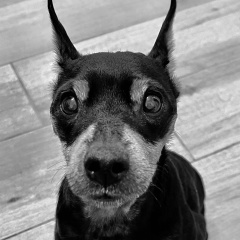 Женечка Васильева, 01.06.1988, Санкт-Петербург