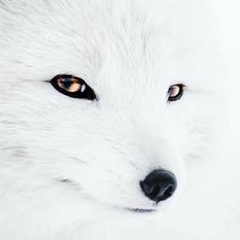Юлия Кошевая, 22.03, Липецк