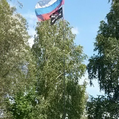 Илья Снежок, Санкт-Петербург