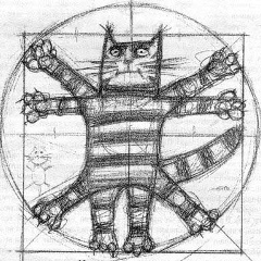 Кот Да-Винчи, 12.10.1901, Venezia